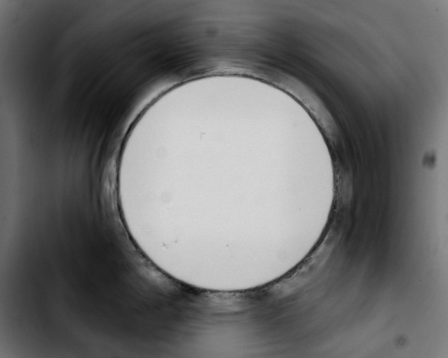 X0000103911198200810311425