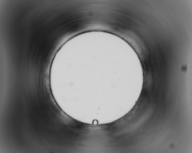 X0000103911199200810311425