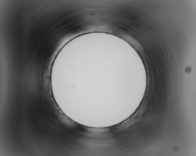 X0000103911200200810311425