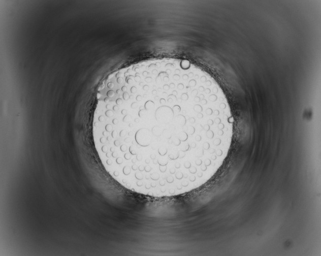 X0000103911201200810311424