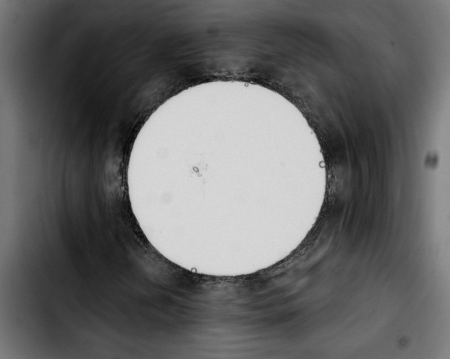 X0000103911202200810311424