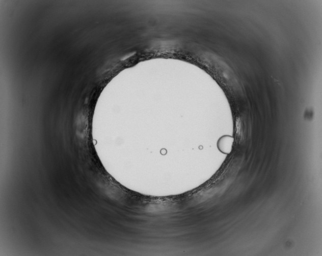 X0000103911203200810311424