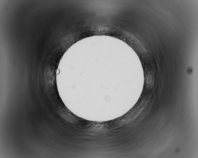 X0000103911204200810311424