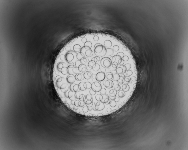 X0000103911205200810311424