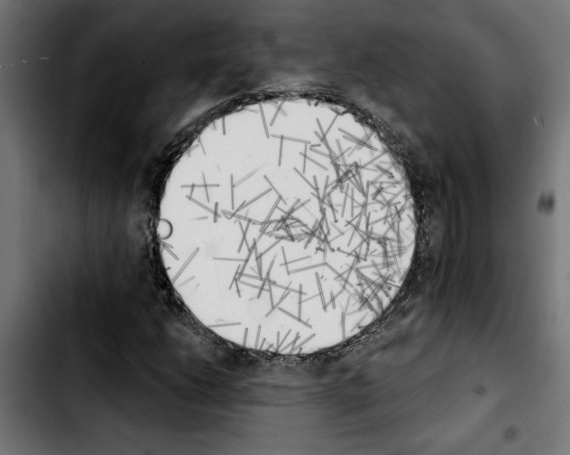 X0000103911206200810311424