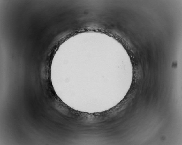 X0000103911207200810311424