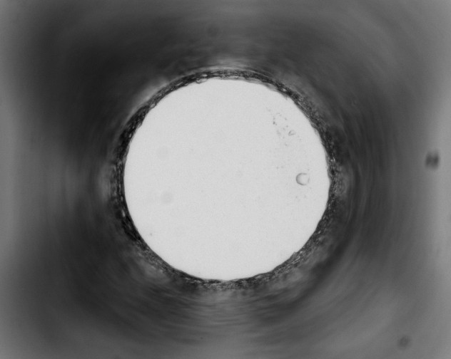 X0000103911208200810311424