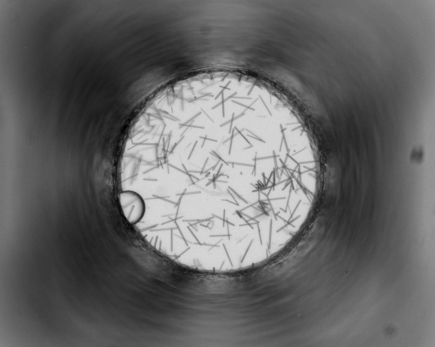 X0000103911209200810311424