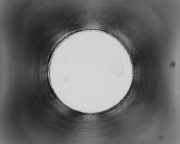 X0000103911212200810311424