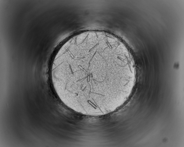 X0000103911213200810311424