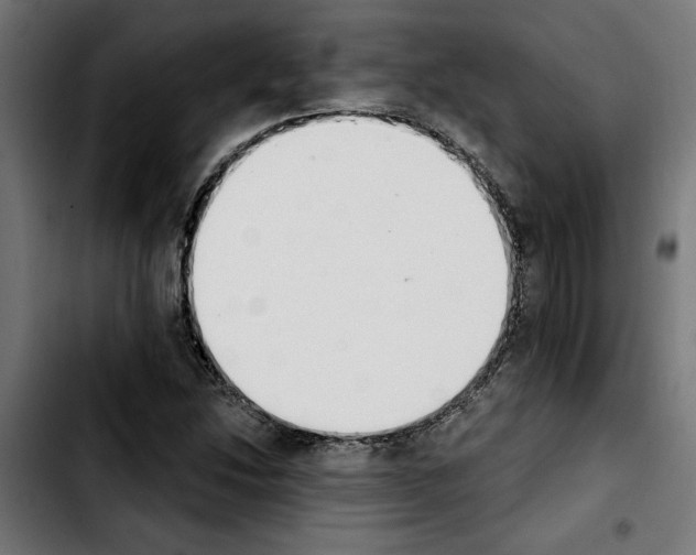 X0000103911214200810311424