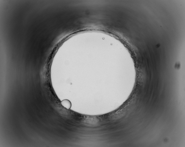 X0000103911215200810311424
