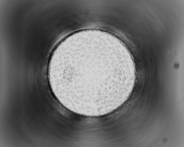 X0000103911216200810311424