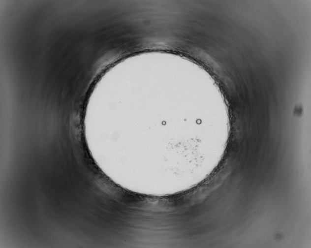 X0000103911218200810311424