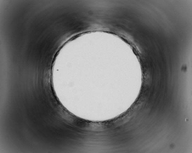 X0000103911220200810311424