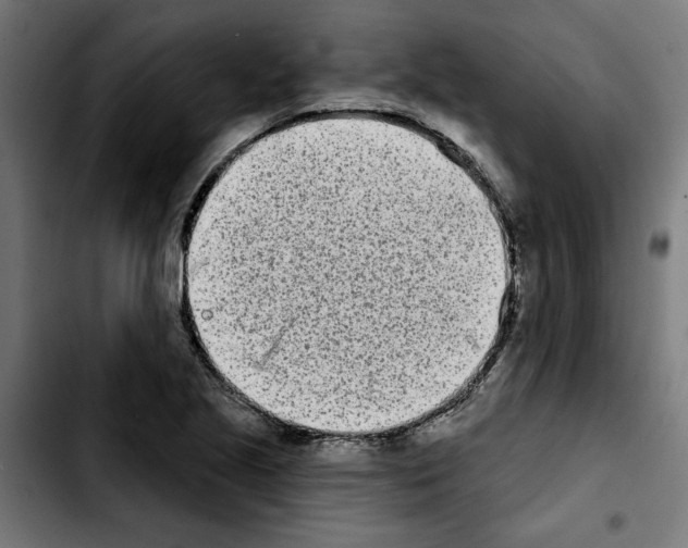 X0000103911221200810311424