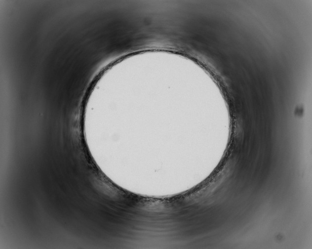 X0000103911222200810311424