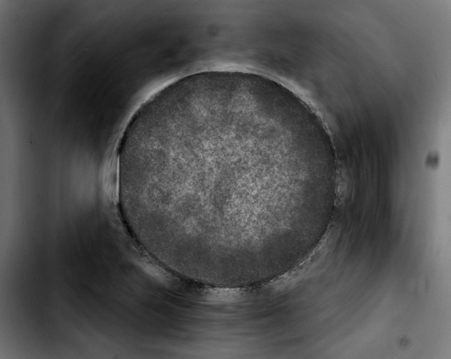 X0000103911223200810311424