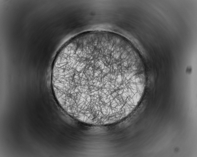 X0000103911224200810311424