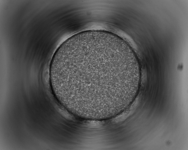 X0000103911226200810311424