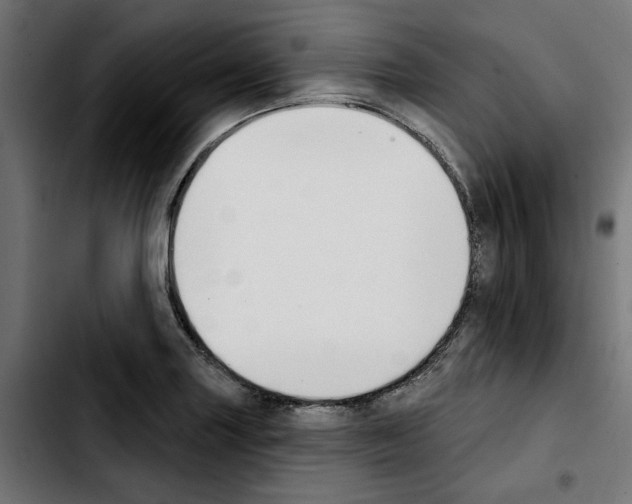 X0000103911227200810311425