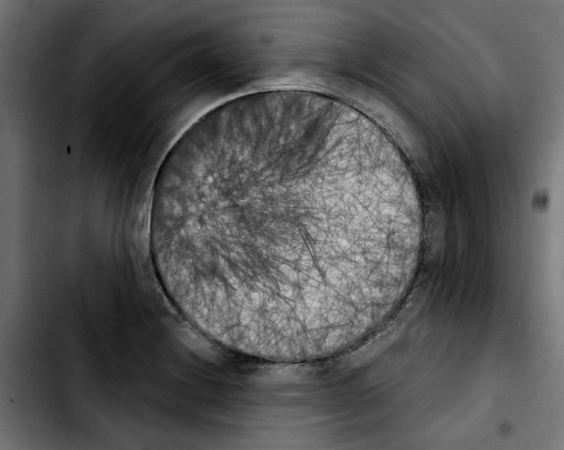 X0000103911228200810311425