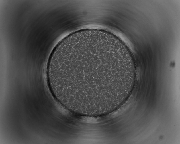 X0000103911229200810311425