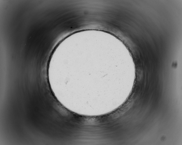 X0000103911230200810311425