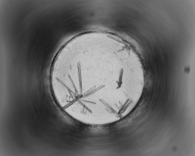 X0000103911231200810311425