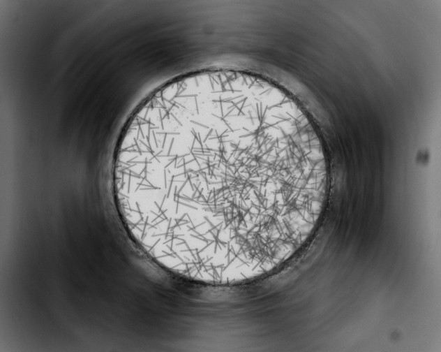 X0000103911232200810311425