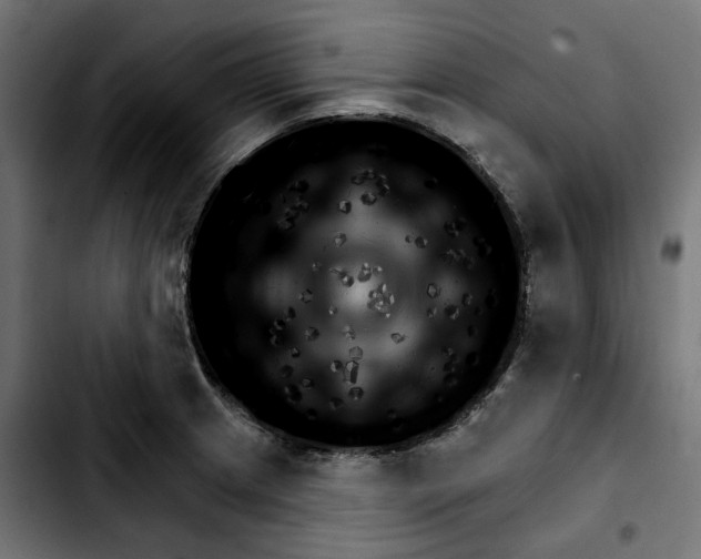 X0000103911233200810311425