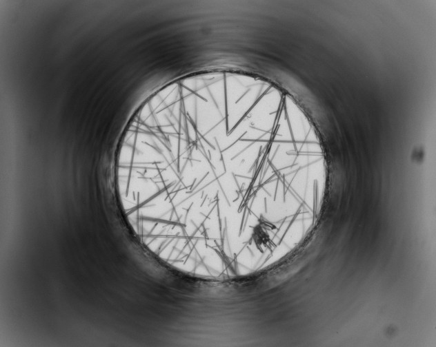 X0000103911234200810311425