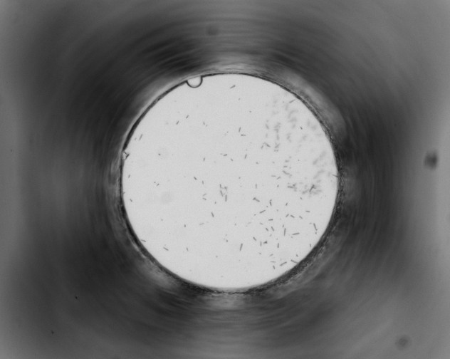 X0000103911236200810311425