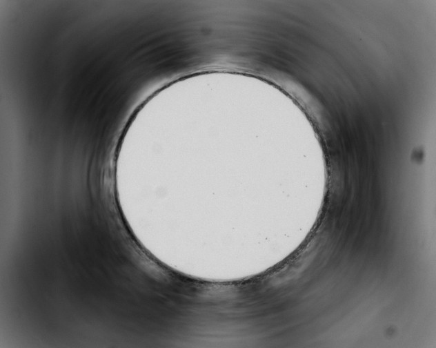 X0000103911238200810311425
