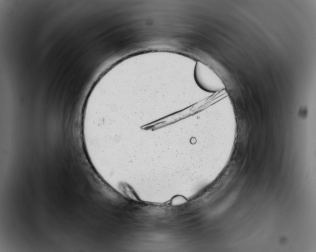 X0000103911240200810311425