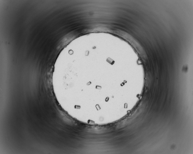 X0000103911241200810311425