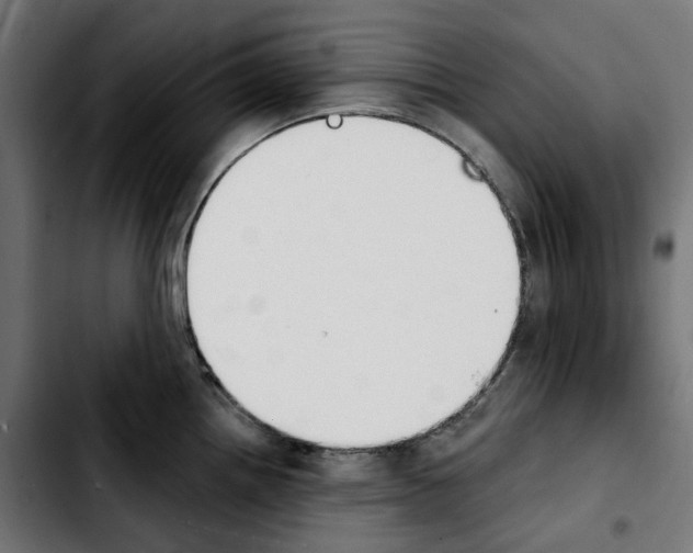 X0000103911242200810311425