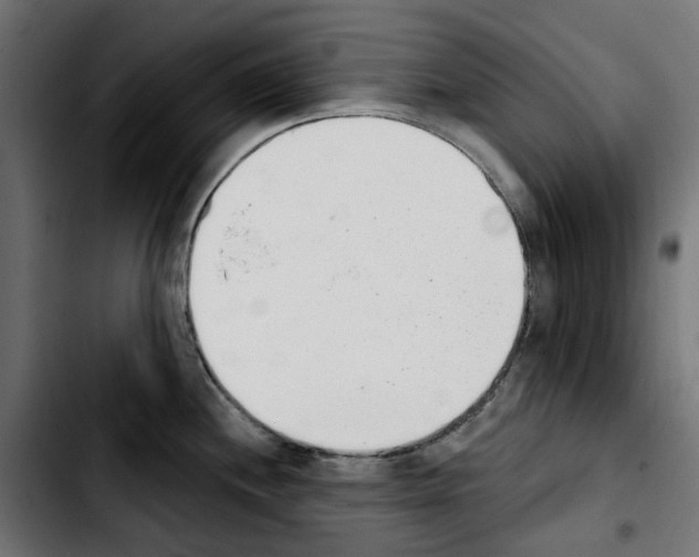 X0000103911244200810311425
