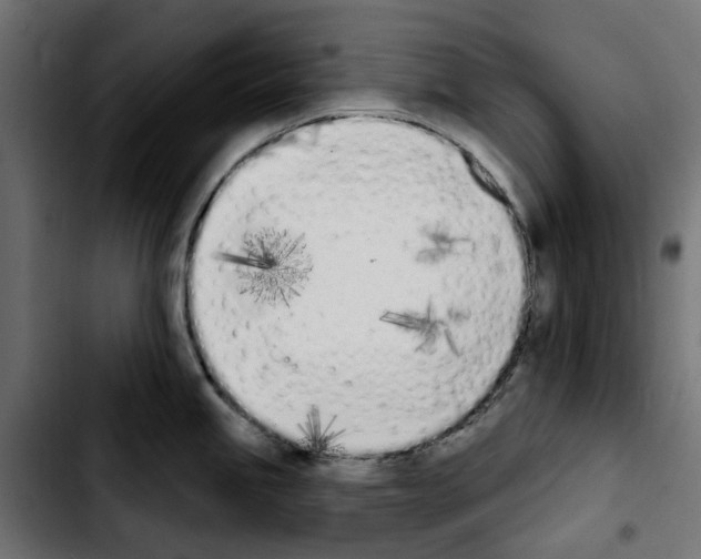 X0000103911245200810311425