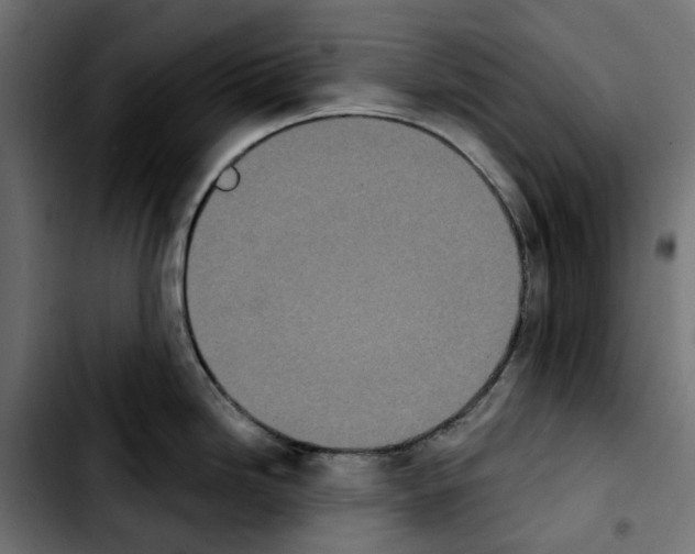 X0000103911246200810311425