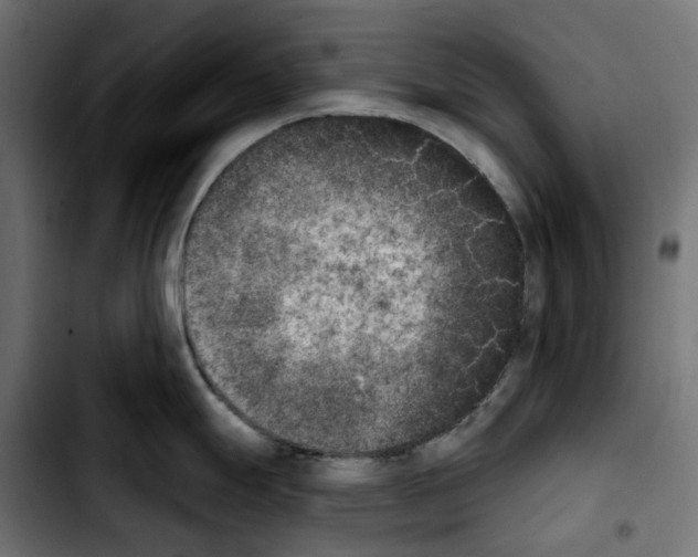X0000103911247200810311425