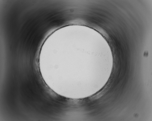 X0000103911248200810311425