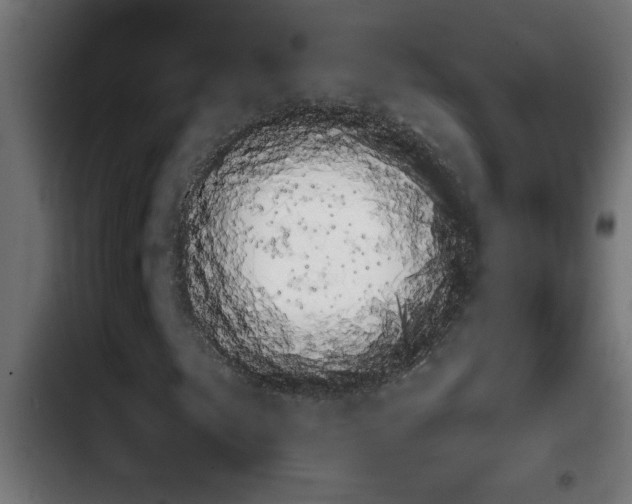 X0000103911249200810311424