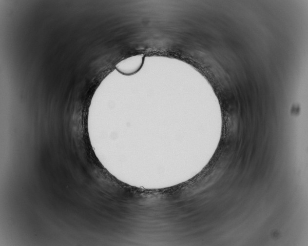 X0000103911250200810311424