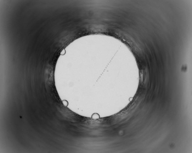 X0000103911251200810311424