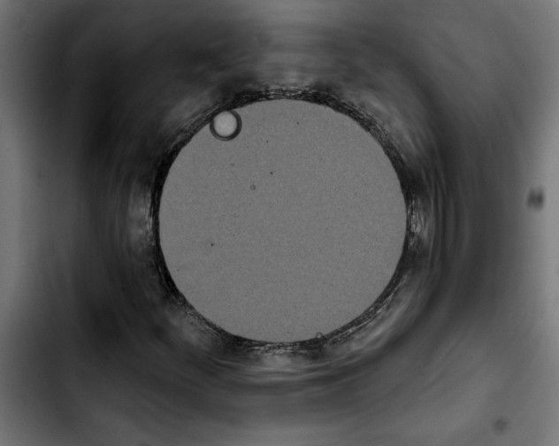 X0000103911252200810311424