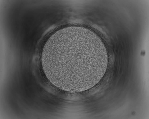 X0000103911254200810311424