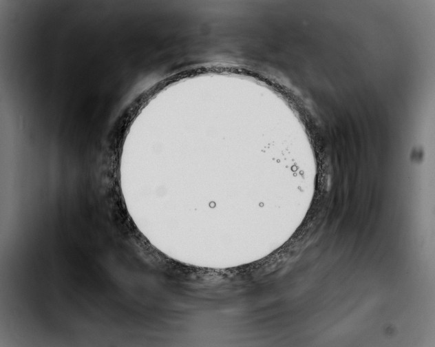 X0000103911255200810311424