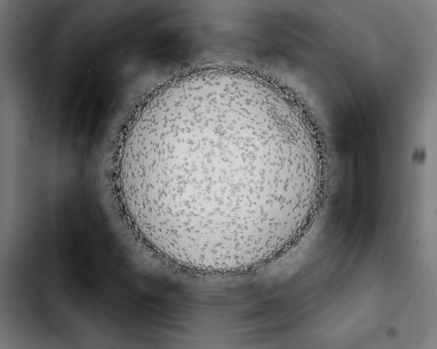X0000103911257200810311424