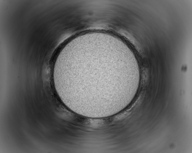 X0000103911258200810311424